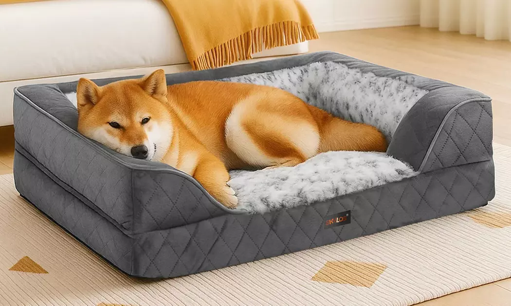 Pawz Skylos Orthopaedic Dog Bed with Bolster Support