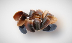 Water Buffalo Hooves Dog Chew Treats (12-Pack)