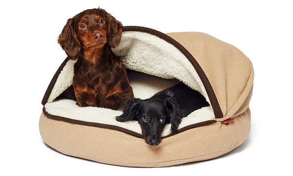 Groupon hotsell dog beds