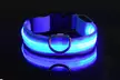 SAFETY LED Dog Pet Light Up Collar Night Glow Adjustable Bright 5 Color Leash - Second Medium