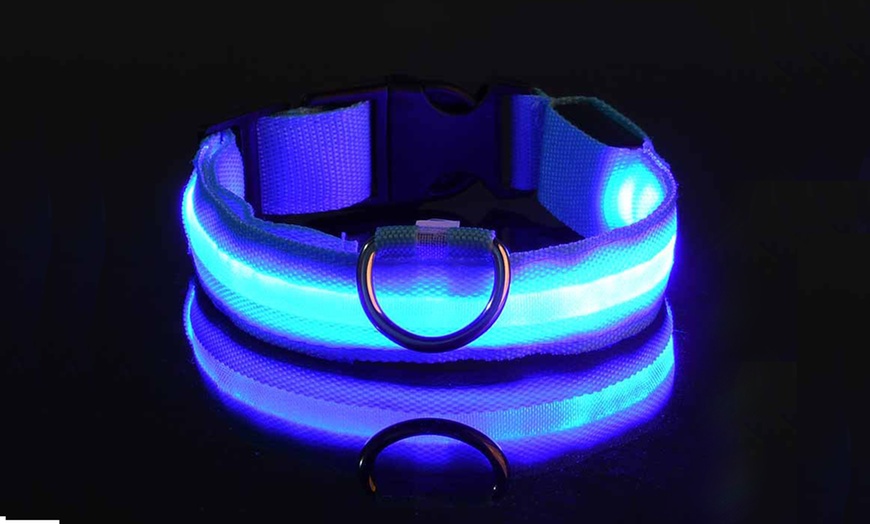 Image 3: SAFETY LED Dog Pet Light Up Collar Night Glow Adjustable Bright 5 Color Leash