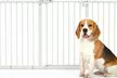 Pawhut Adjustable Metal Pet Safety Gate with Auto-Close Door - Image 4
