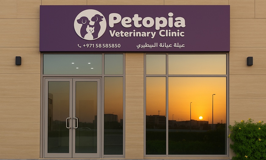 Image 1: Comprehensive Pet Grooming for Cats and Dogs Up To 40 KG