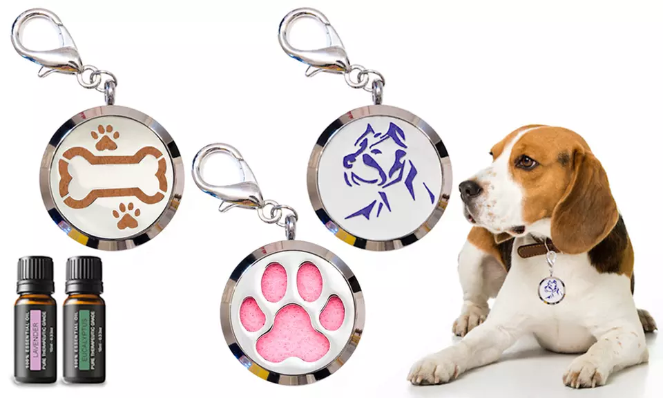 Dog Collar Pendant & Aromatherapy Diffuser w/ Optional Essential Oils - Primary Image