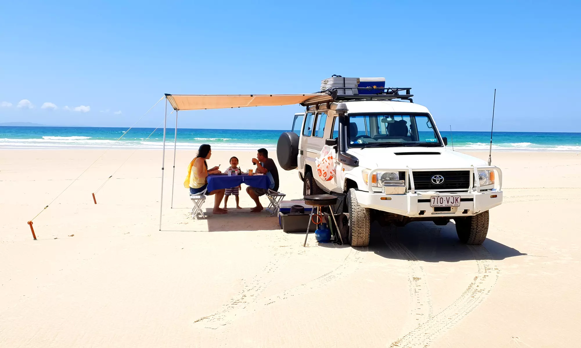 Full-Day Island Safari + Lunch