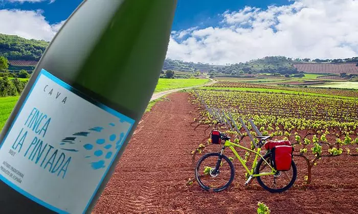 Three Bottles of Finca la Pintada Brut Cava with Shipping Included ($95 value) - Second Medium