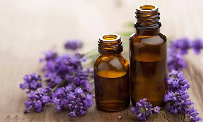 Four-Pack of Essential Oils at Mistico Mimi Wellness Centre - Primary Image