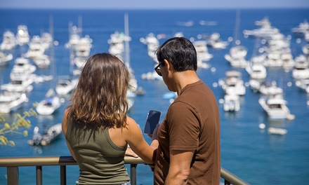 Avalon Bay Discovery Walk on Catalina Island for Two - Catalina Compass Tours LLC
