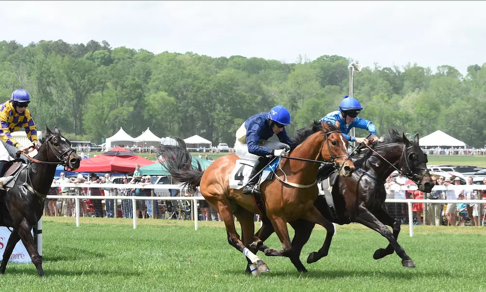 Georgia Steeplechase and Spring Festival on Saturday, April 7, at 11 a.m.  - Primary Image