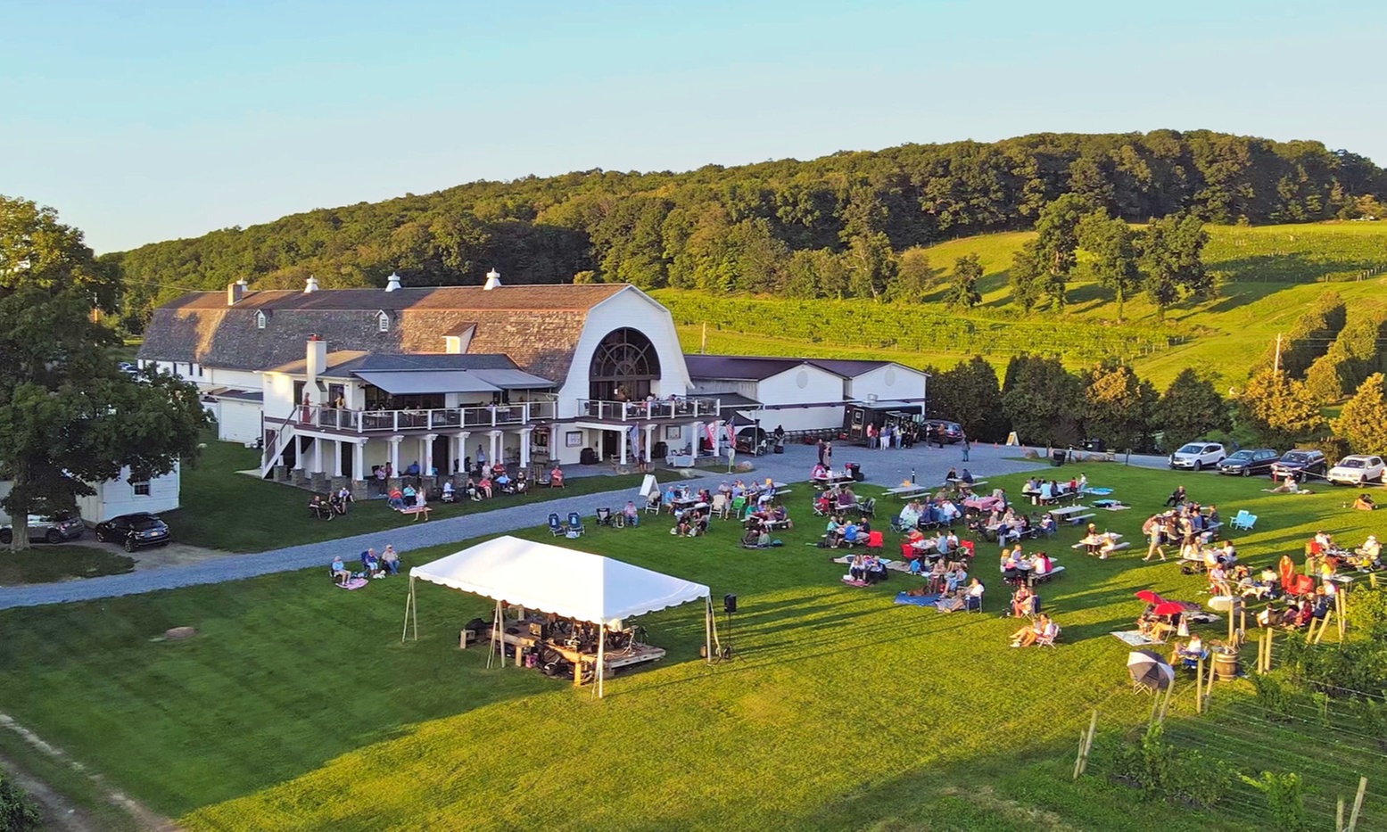 Wine Tasting & Summer Jazz Concert Series at Millbrook Winery