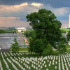 Image 5: 30% Off NYC to Washington DC Round-Trip Sightseeing Bus Tour