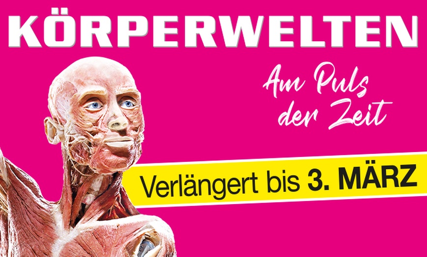 Image 1: Ticket für die Ausstellung Körperwelten