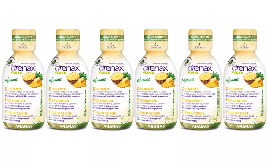 Image 15: 3, 4, 6 ou 9 flacons de compléments alimentaires "Drenax Forte" 300 ml
