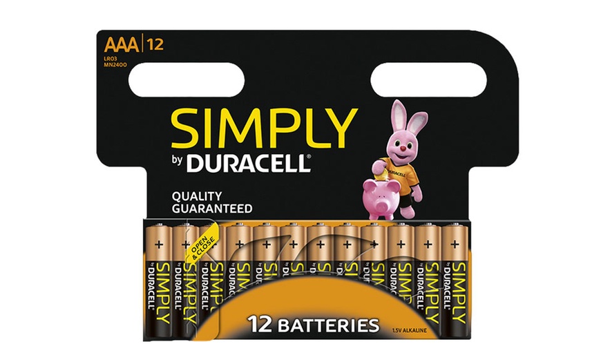 Image 6: Lot de 12, 24 ou 36 batteries AA- ou AAA- de Duracell