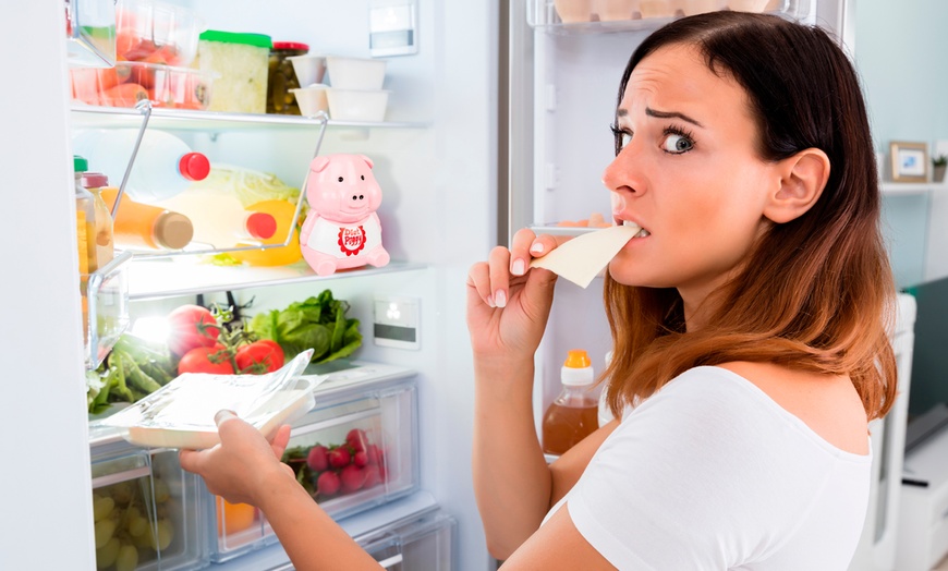 Image 1: Diet Piggy Fridge Guardian