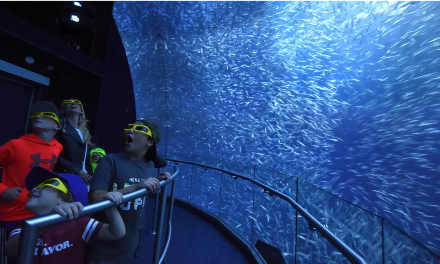 National Geographic Encounter: Ocean Odyssey - Primary Image