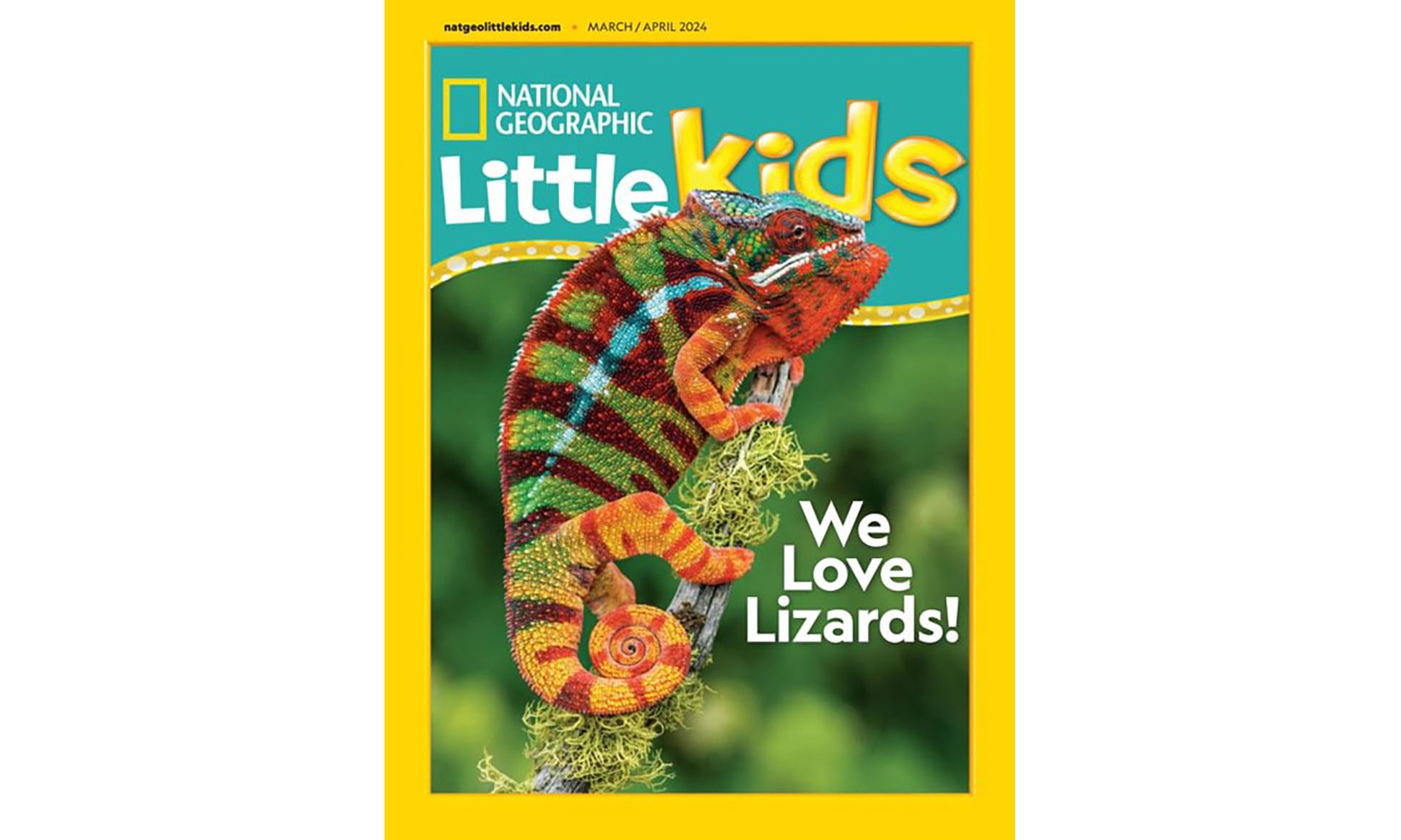 17% Off National Geographic Little Kids Subscription