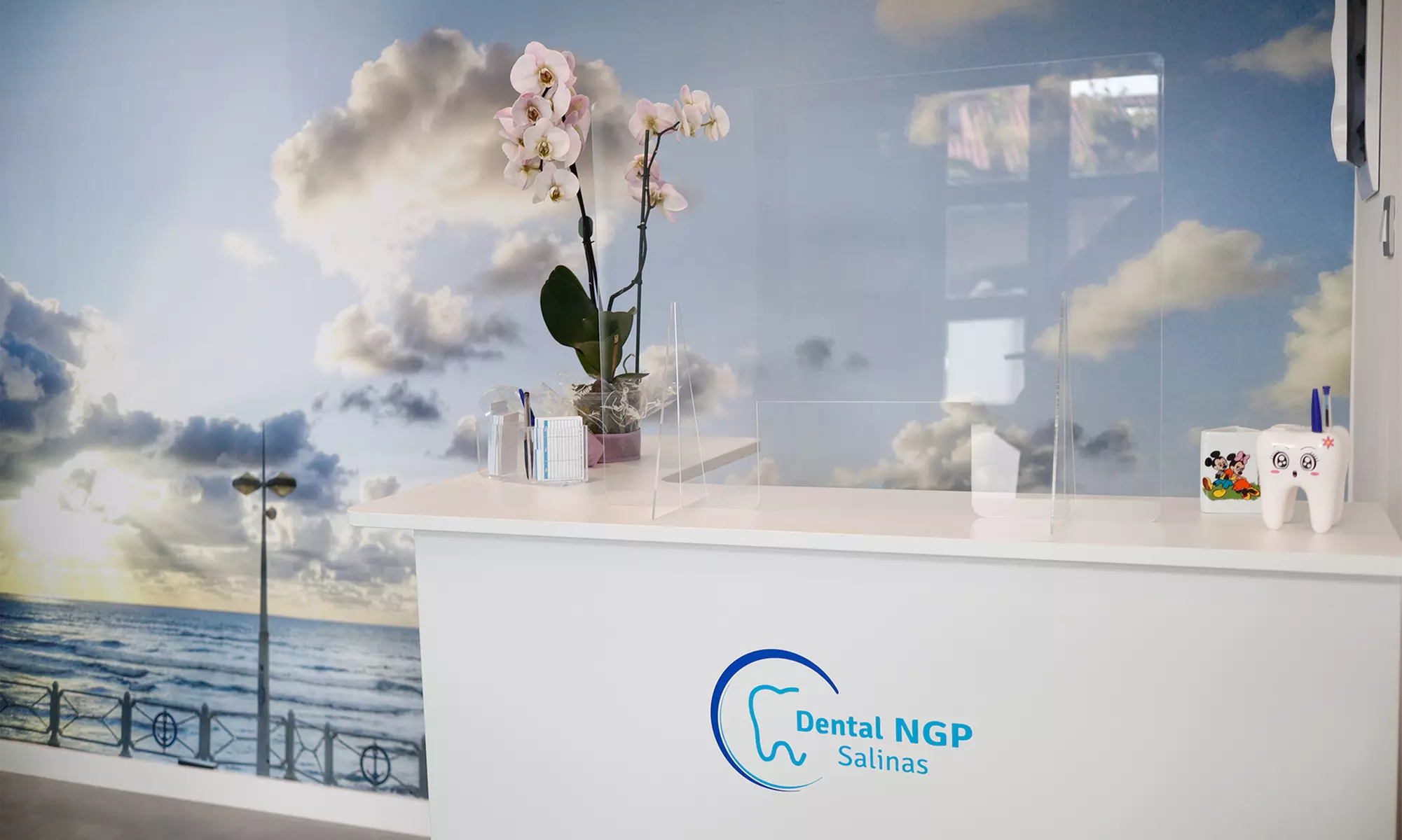 Examen, diagnostico y limpieza bucal o blanqueamiento con limpieza