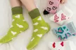 Pack of Five Women's Warm Fluffy Socks - Second Medium