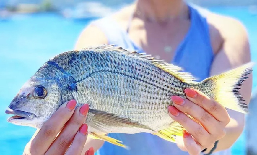 Image 5: 3-Hour Landbased Fishing Experience with Onshore Fishing Adventures