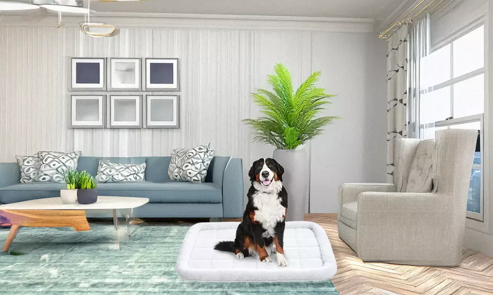 Amazon Basics Faux Sherpa Padded Bolster Dog & Pet Bed - 2 Sizes