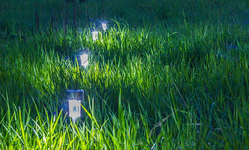 Image 3: PMS International Solar Lights