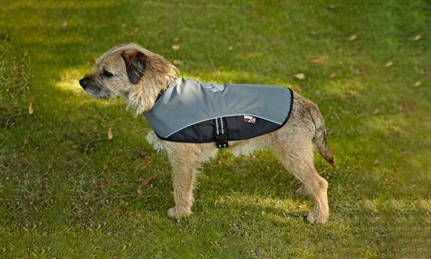 Image 2: Petface Outdoor Paws Dog Coat