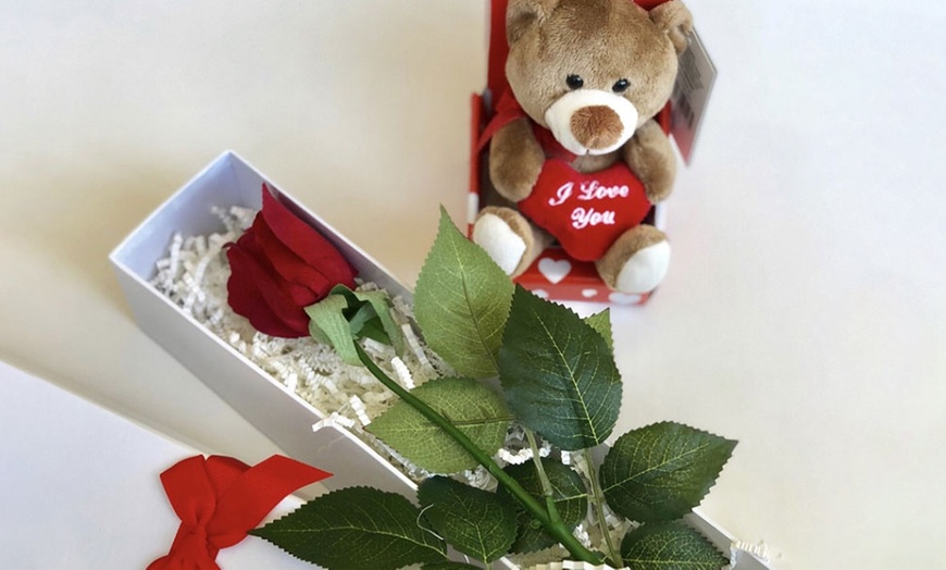 Image 1: Rose and Teddy Bear + Delivery