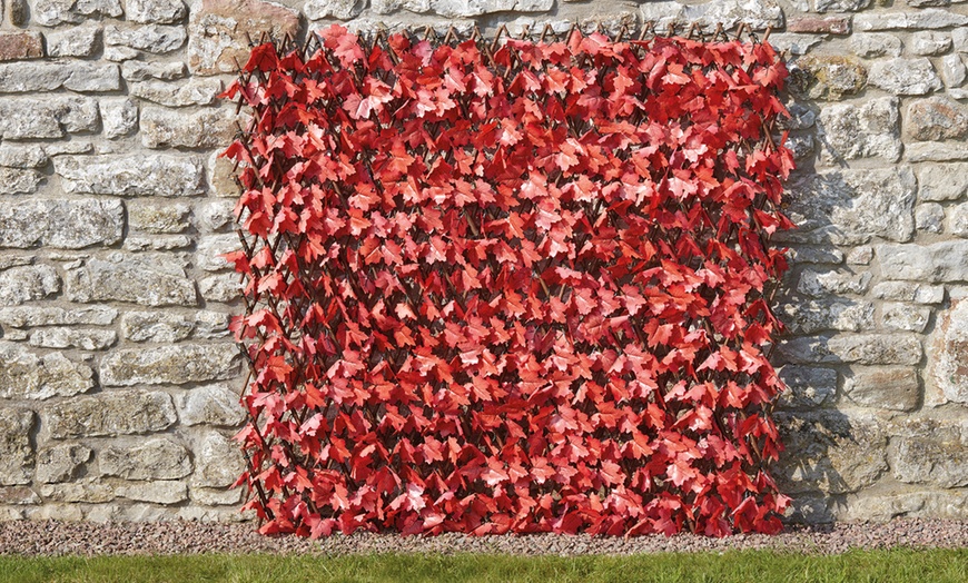 Image 13: Expandable Artificial Hedge Trellis