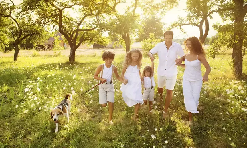 Jusqu'à 84% de remise sur Session photo - Studio chez Photo Christophe