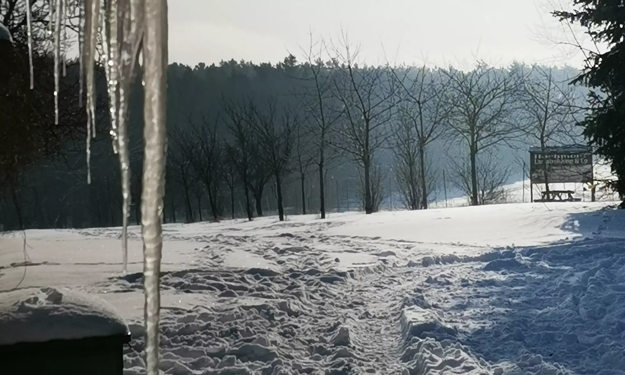 Alpaka-Parcouring auf der Weide