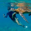 Image 1: Guided Snorkeling Adventure in Fort Lauderdale’s Crystal-Clear Waters
