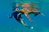 Fort Lauderdale Guided Snorkeling Tour – Explore Reefs, Marine Life & Clear Ocean Waters