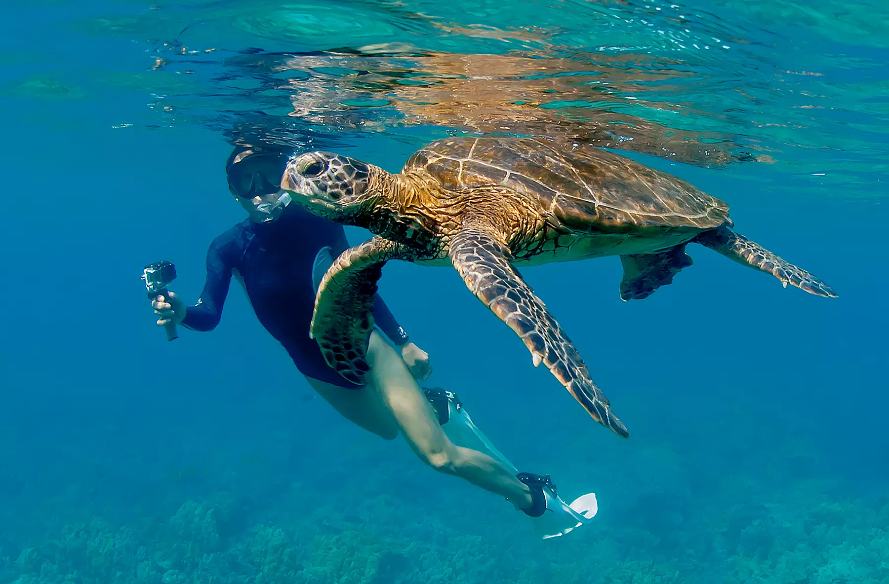 Guided Snorkeling Adventure in Fort Lauderdale’s Crystal-Clear Waters