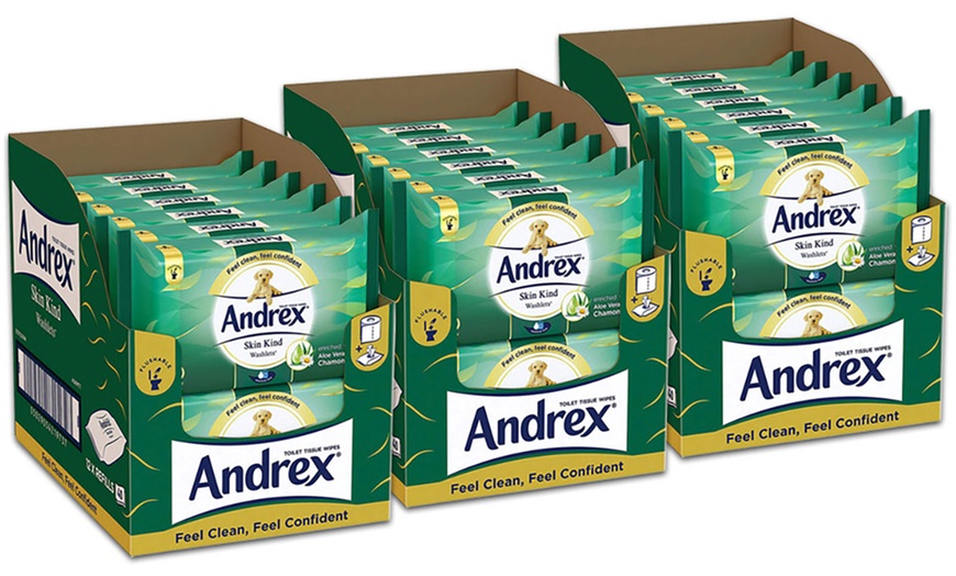 Image 18: Andrex Flushable Wipes
