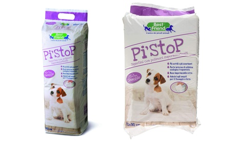 Fino a 200 tappetini assorbenti per cani Record disponibili in 2 misure