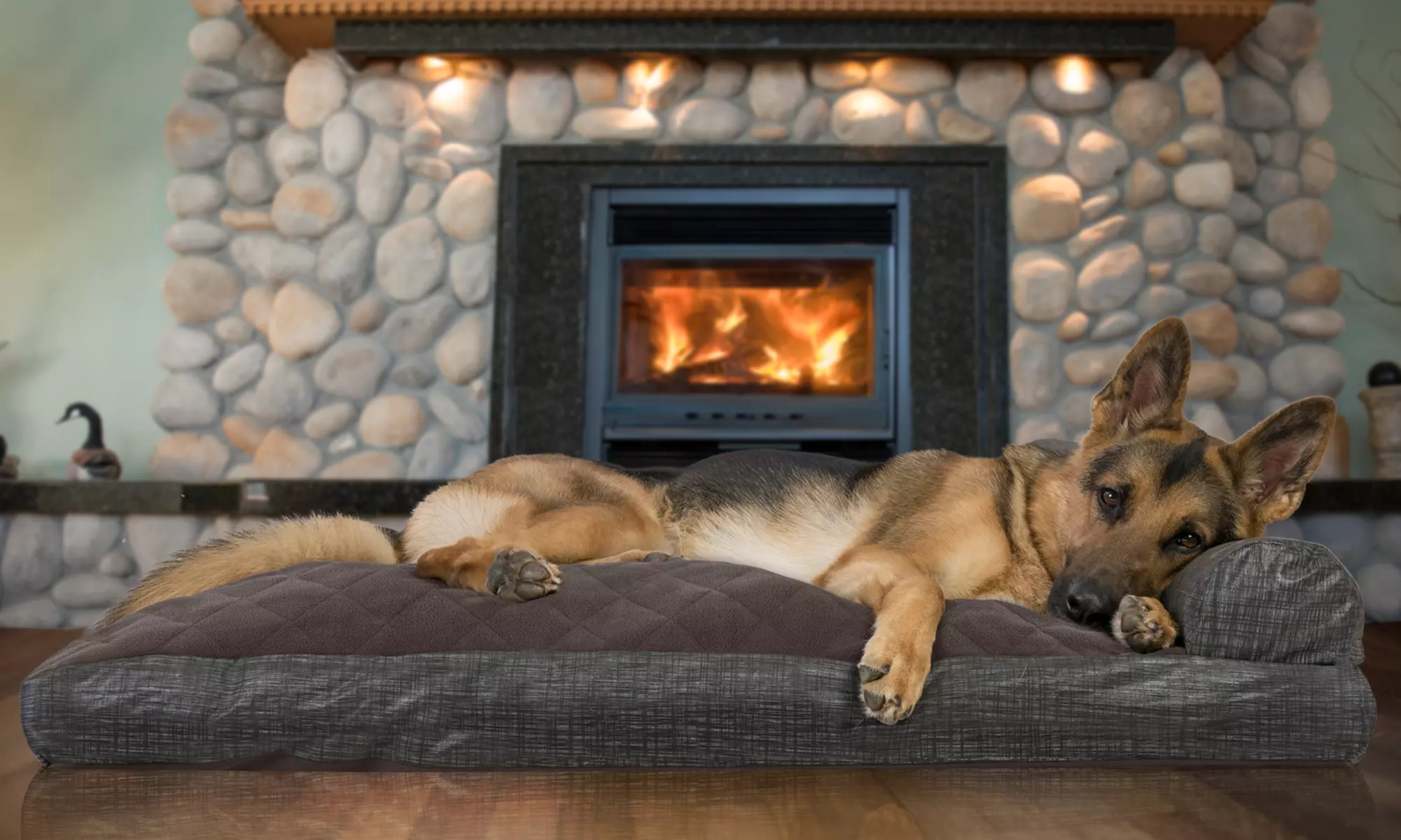 Furhaven Pet Chaise Lounge Sofa-Style Pillow Dog Bed - Primary Image