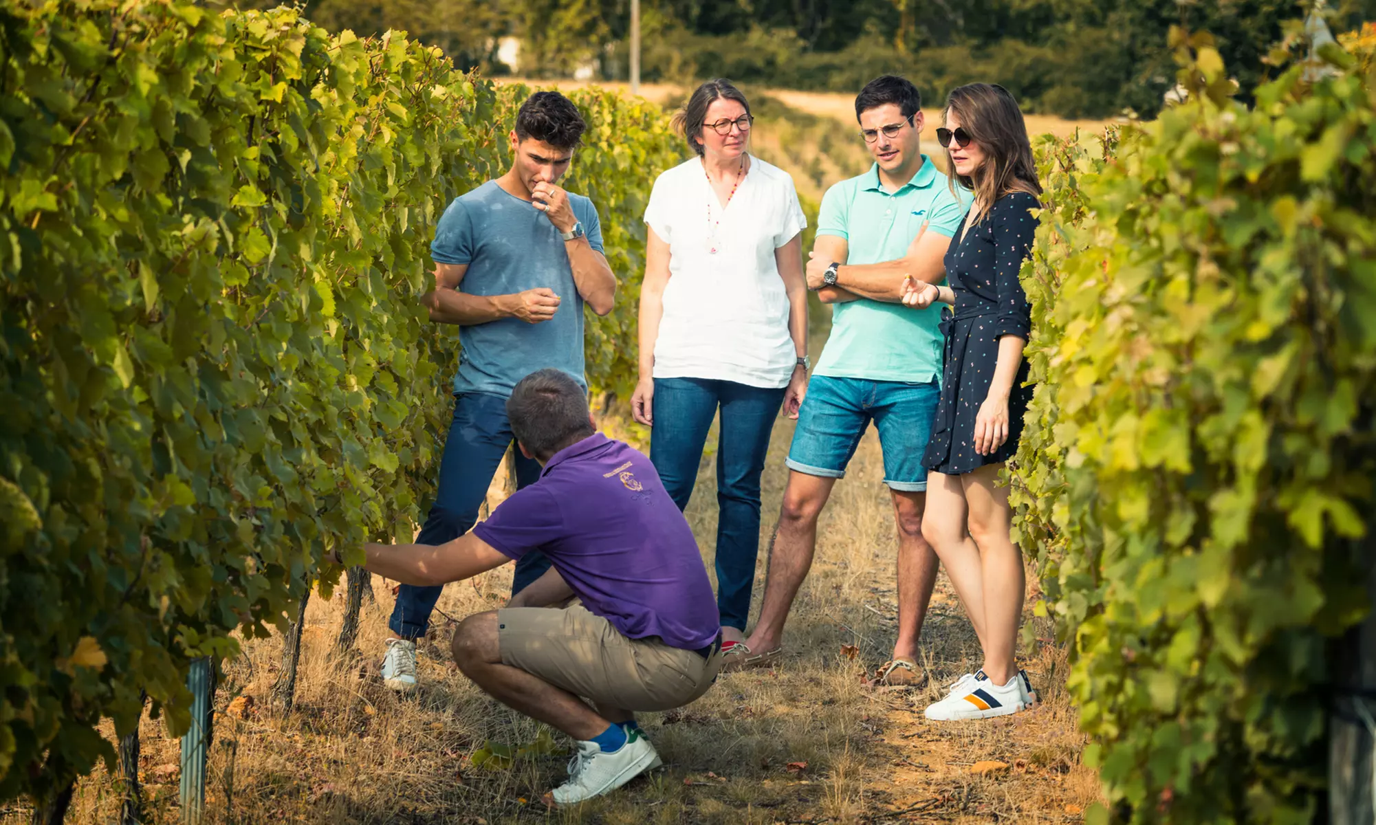 Jusqu'à 42% de remise sur Excursion / Visite - Vin / Vignoble chez Chai Pierre et Bertrand Couly