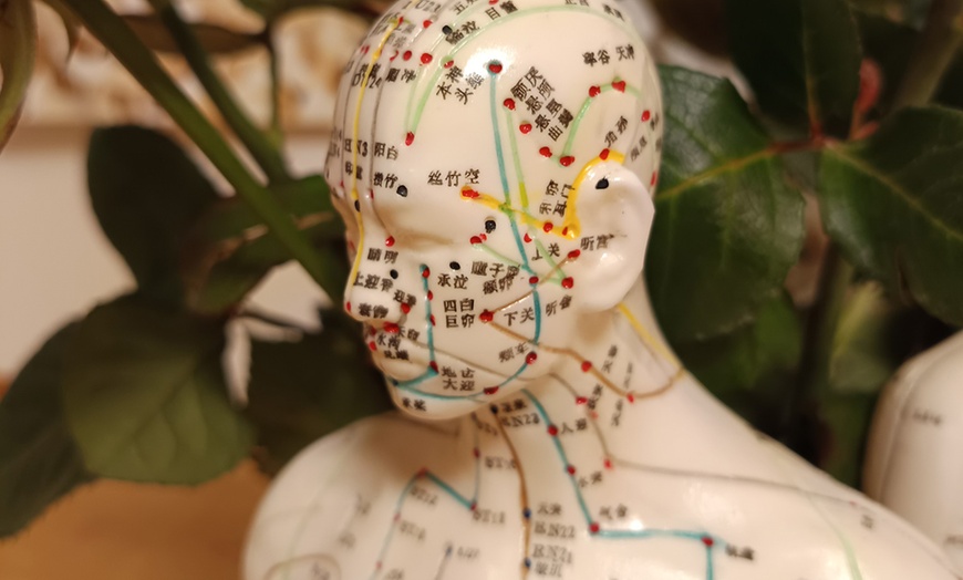 Image 9: Modelage Shiatsu ou réflexologie avec une experte