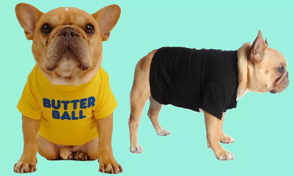 Custom Pet Fashion – Pawsome Style & Comfort Tailored Just for Them