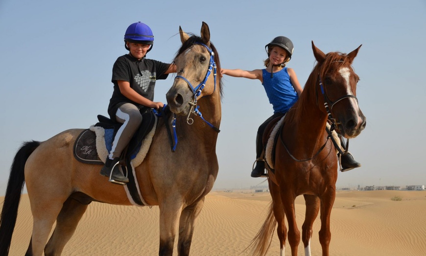 Image 1: One Hour Horse Desert Hacking Experience at Al Sultan Equestrian Club