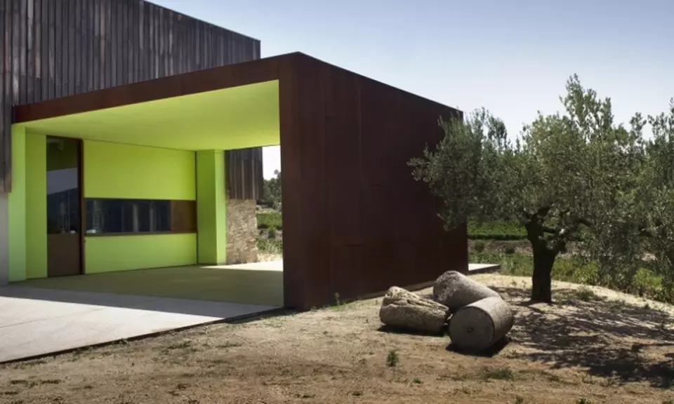 Paseo por viñedo, visita a bodegas y cata de 3 vinos para 1 o 2