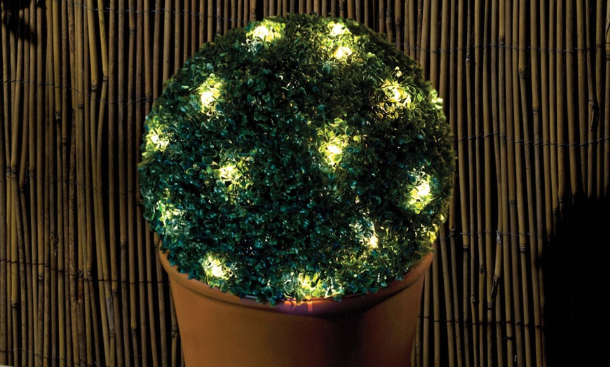 Image 2: Solar Topiary Ball