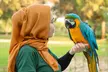 General admission to Dubai Exotic Bird-Show at Creek Park Bird Show in Dolphinarium - Image 2