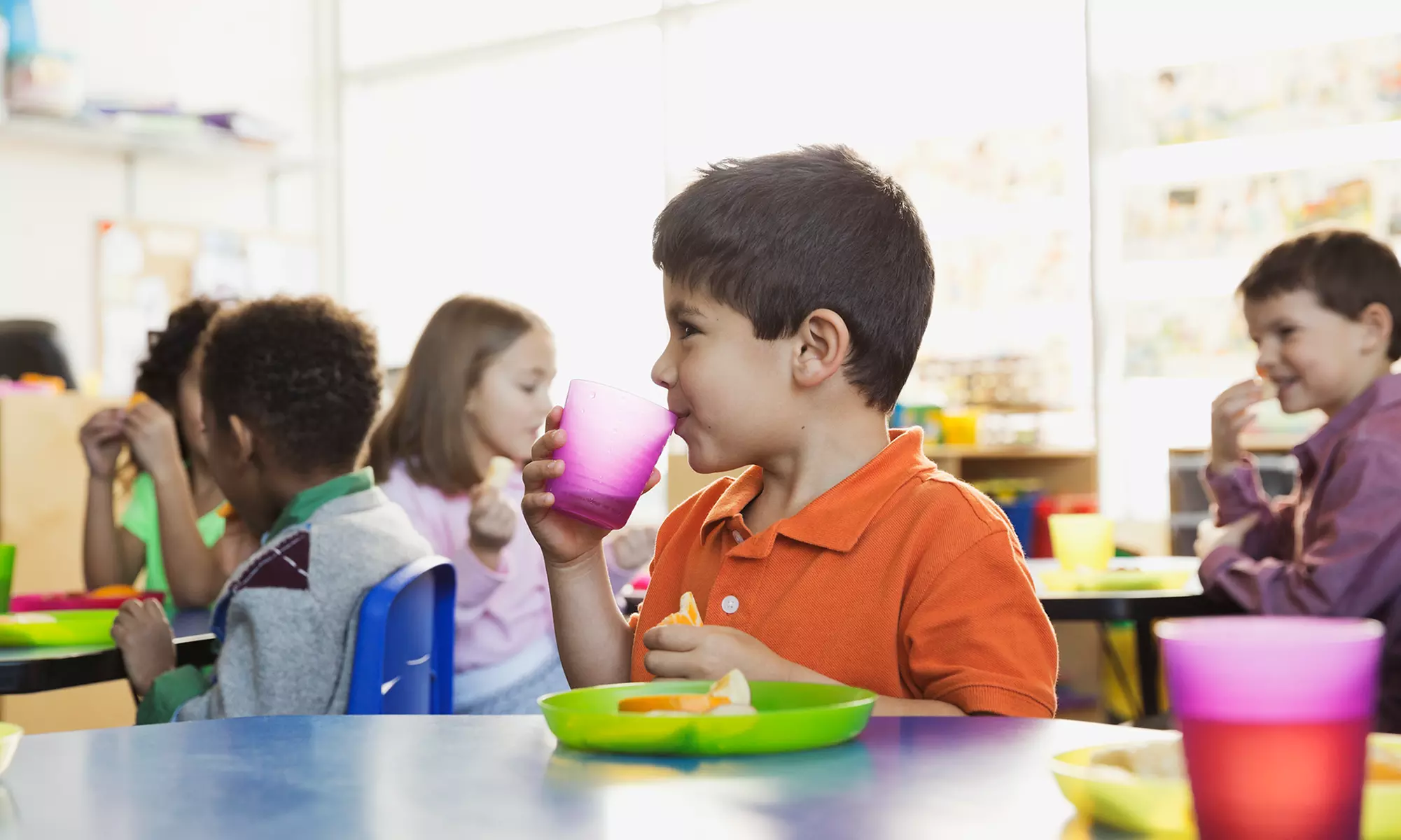 Doble titulación: Curso online de monitor de comedores escolares de primeros auxilios desde 34,90 € con Grupo Inn - Primary Image