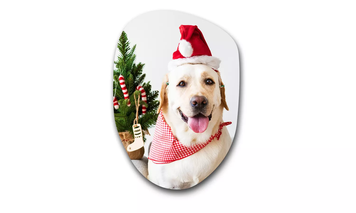 Foto op organische vorm