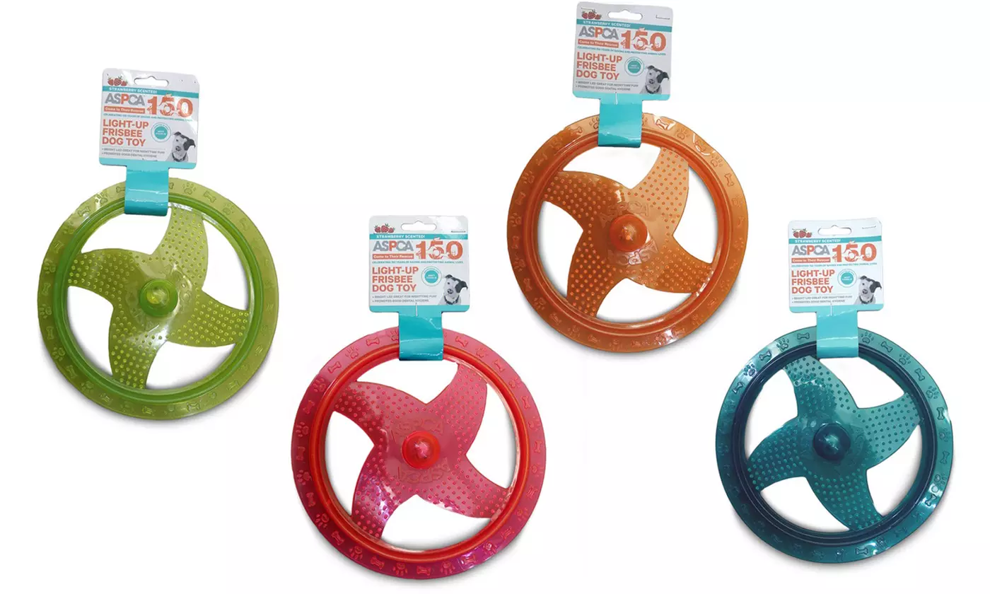 ASPCA Light Up Frisbee Dog Toy - Primary Image