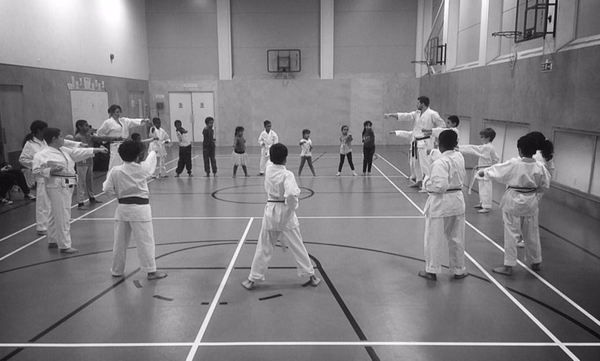 Image 4: Two Trial classes Or One-Month of Karate Classes for Beginners 