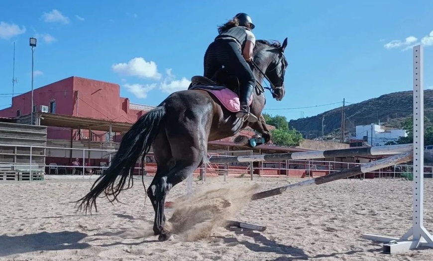 Image 1: Clases de equitación para 1 persona en Finca Ecuestre La Primavera