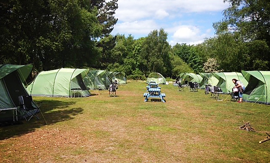 Image 1: New Forest, Hampshire Camping Break